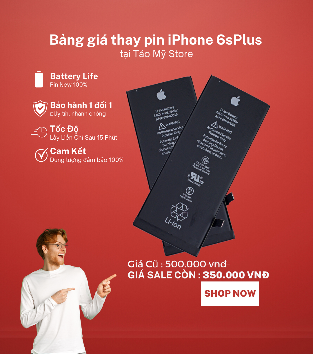 Thay pin iPhone 6S Plus