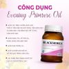 Tinh Dầu Hoa Anh Thảo Blackmores Evening Primrose Oil Úc Chính Hãng