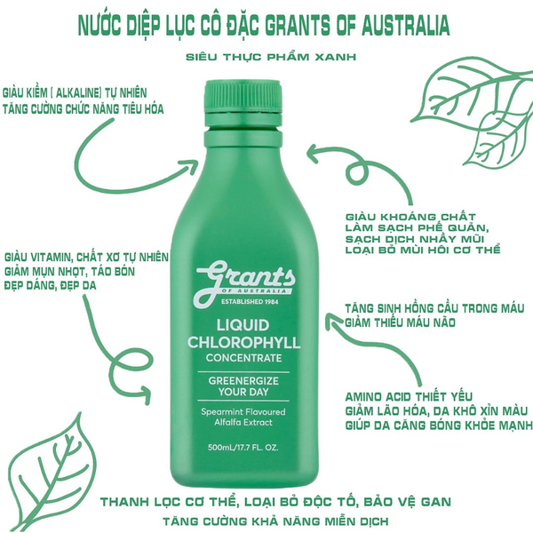 Combo 2 Chai Grants of Australia Nước Diệp Lục Cô Đặc Hỗ Trợ Tiêu Hóa, Tăng Đề Kháng Chlorophyll Concentrate Liquid 500ml