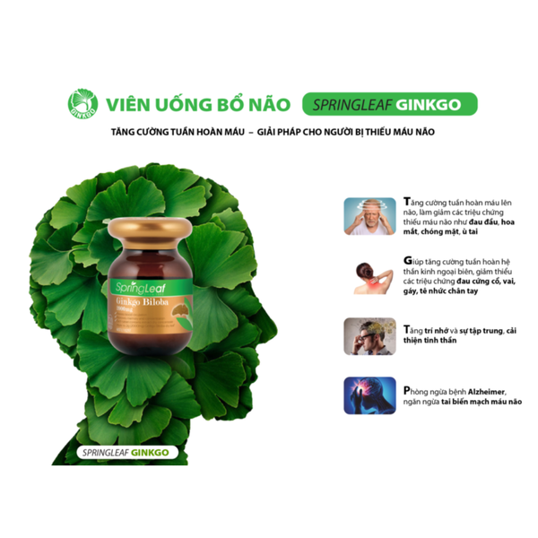 SpringLeaf Viên Uống Hỗ Trợ Trí Não Ginkgo Biloba 2000mg 120 Viên