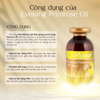 SpringLeaf Viên Uống Tinh Dầu Hoa Anh Thảo Evening Primrose Oil 1000mg 400 Viên