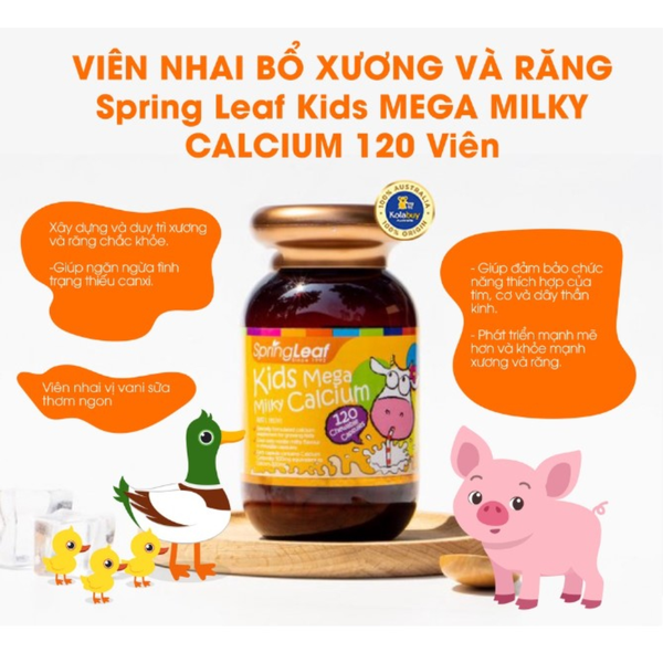 SpringLeaf Viên Nhai Bổ Sung Canxi Cho Bé Premium Kids Mega Milky Calcium 120 Viên