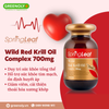 SpringLeaf Viên Uống Dầu Nhuyễn Thể Wild Red Krill Oil Complex 700mg 60 Viên