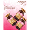 SpringLeaf Viên Uống Collagen 6 Trong 1 Inner Beauty Plus 90 Viên