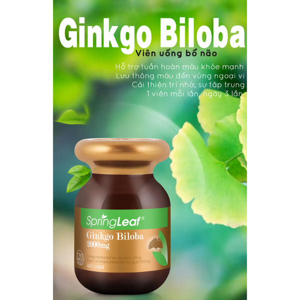 SpringLeaf Viên Uống Hỗ Trợ Trí Não Ginkgo Biloba 2000mg 120 Viên