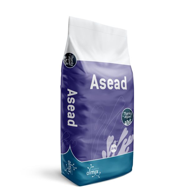 ASEAD