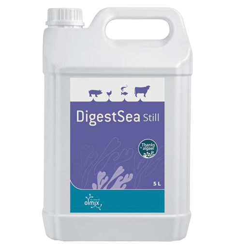DIGESTSEA STILL