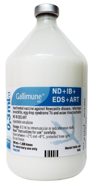 GALLIMUNE 407® ND+IB+EDS+ART