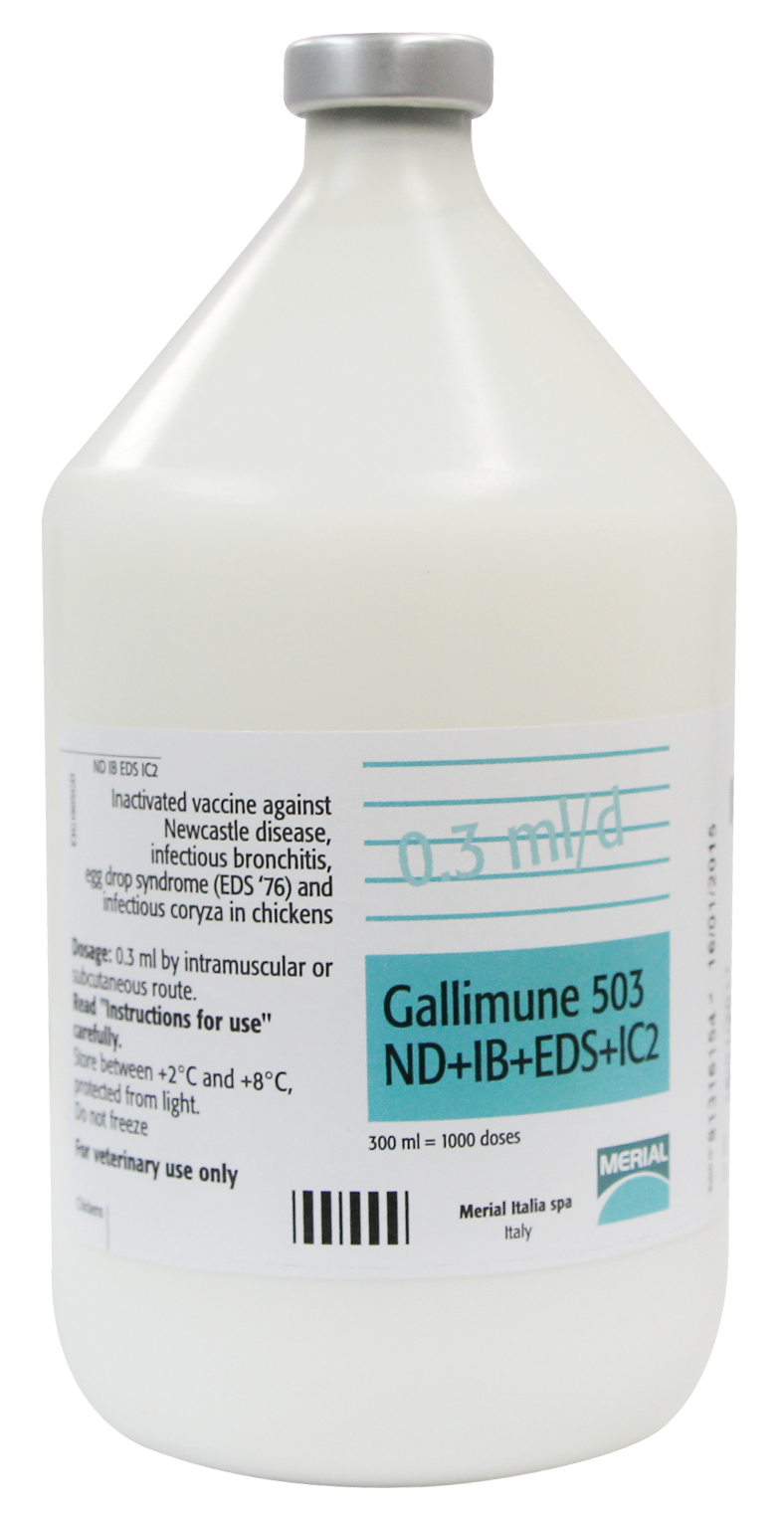 GALLIMUNE 503 ND+IB+EDS+IC2