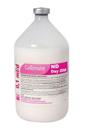 GALLIMUNE ND DAY OLD