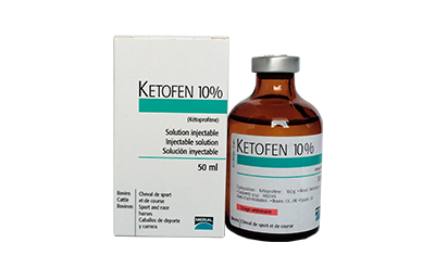 KETOFEN 10%