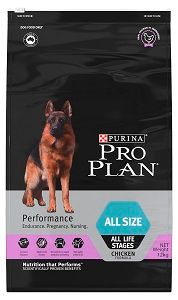 THỨC ĂN PURINA PROPLAN NÂNG CAO NĂNG SUẤT CHO CHÓ MỌI LỨA TUỔI, TẦM VÓC