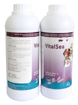 VITALSEA