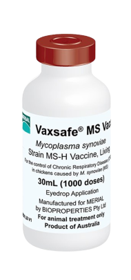 VAXSAFE® MS VACCINE