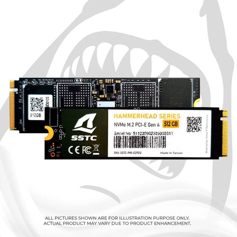  SSD 512GB SSTC Oceanic Whitetip E21 M.2 NVME PCIe Gen4 (SSTC-PHI-E21512) 