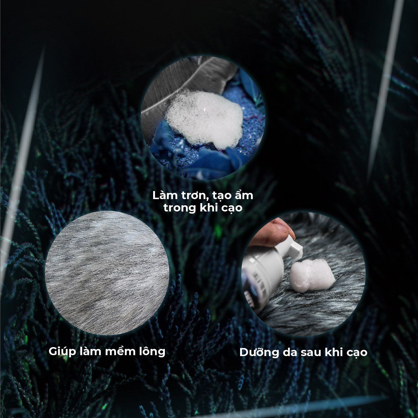 Bọt cạo lông vùng kín dành cho nam và nữ chai 120ml - LOLI & THE WOLF