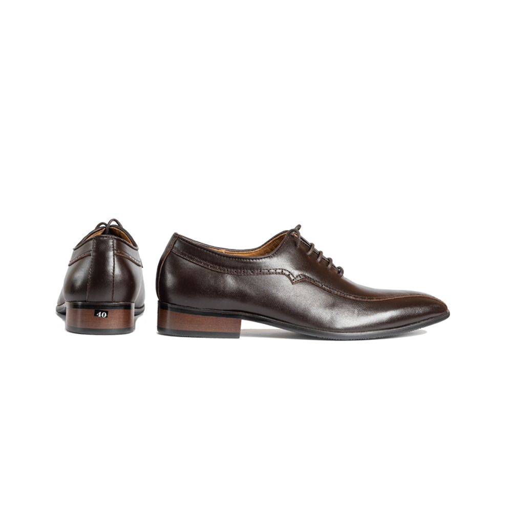 Fujita Oxford Viền dọc Đế Phíp