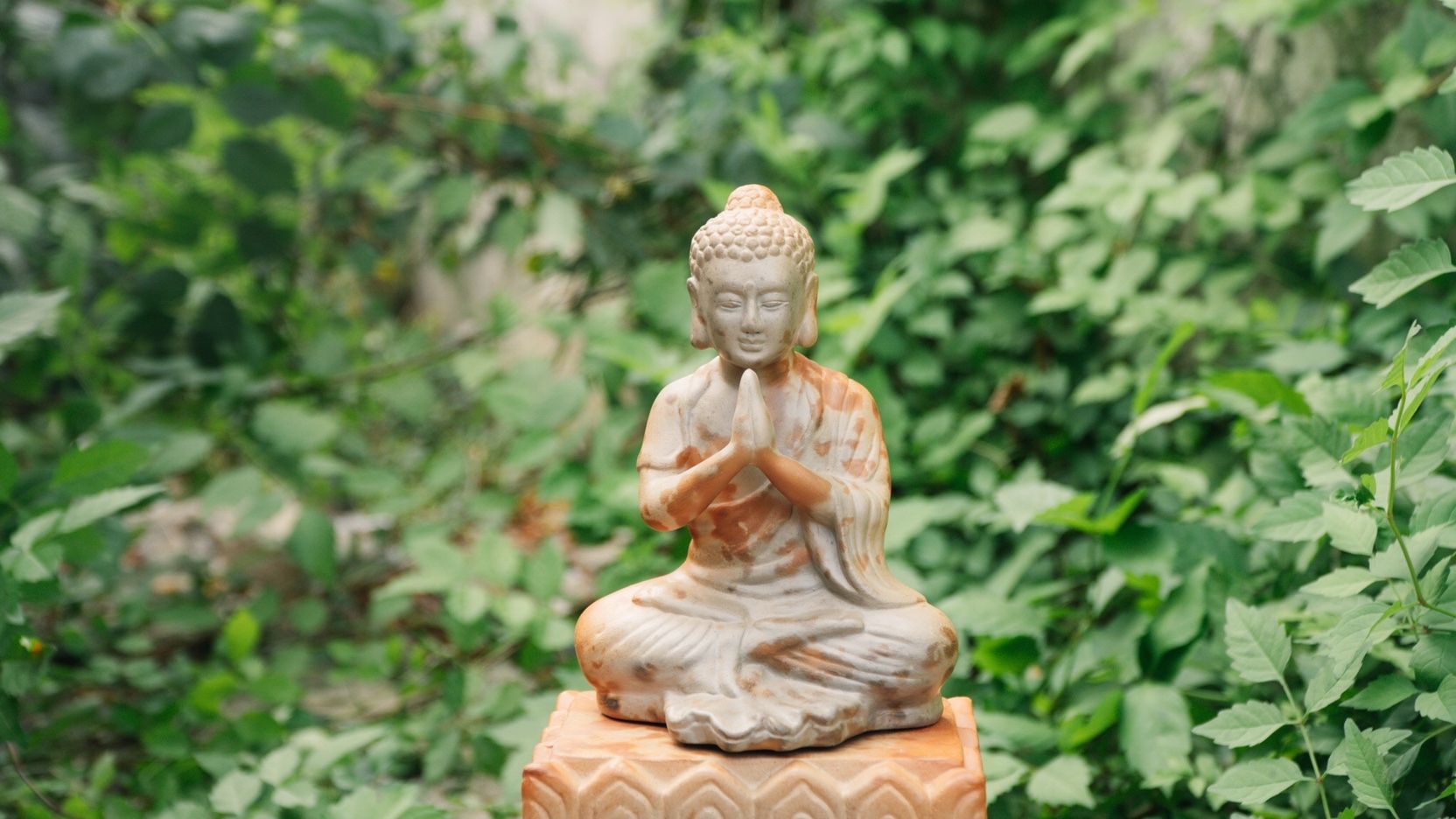 Tượng Phật An Nhiên - TTT41
