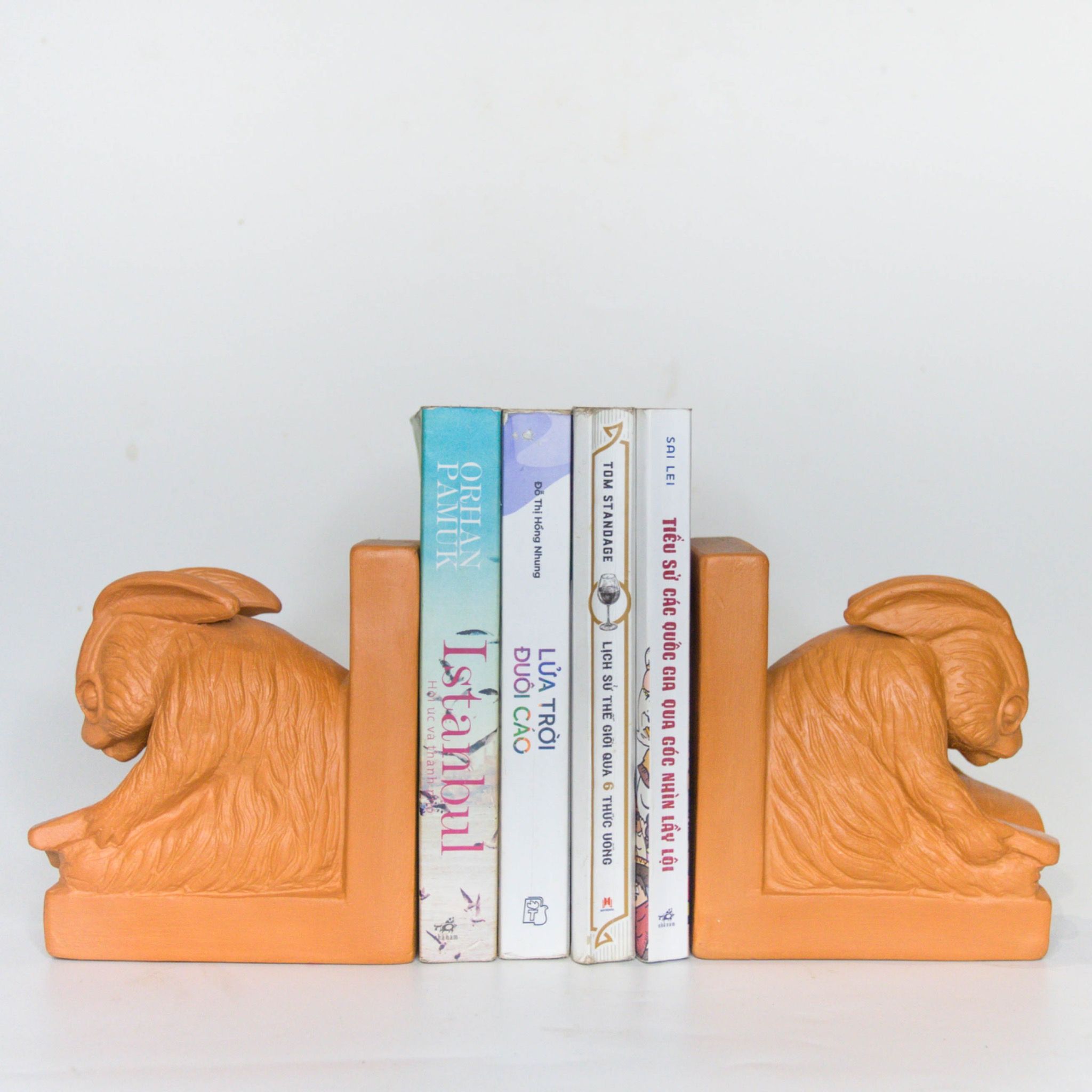 Kê Sách Đất Nung - Con Thỏ - HD02