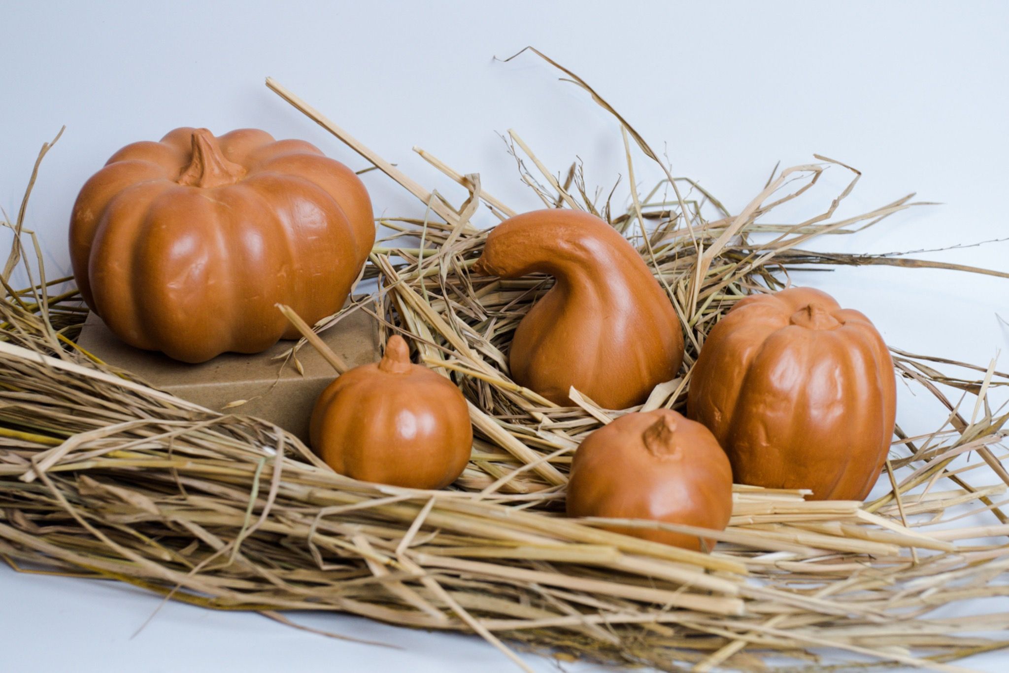 Bí Đất Nung Trang Trí Halloween