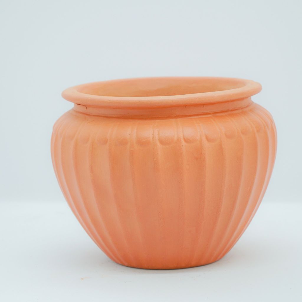 Chậu Trồng Cây - TC01