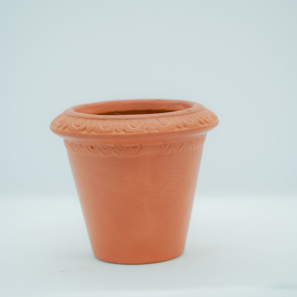 Chậu Trồng Cây - TC03