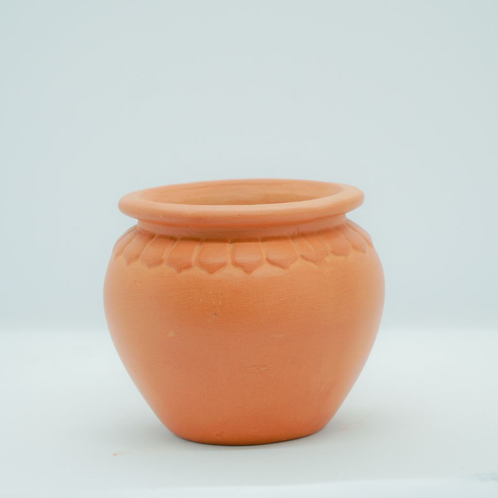 Chậu Trồng Cây - TC06