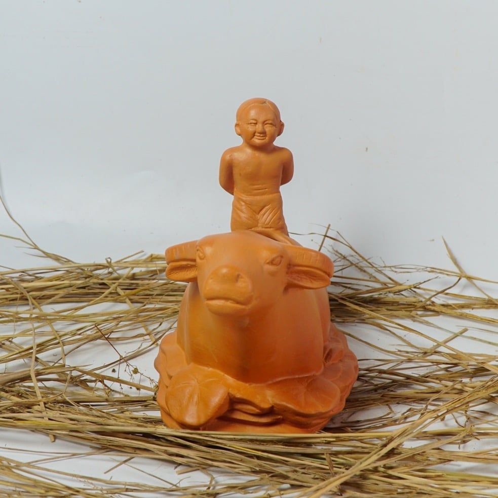 Chậu Trồng Cây Trâu Trâu Qua Sông - TC105