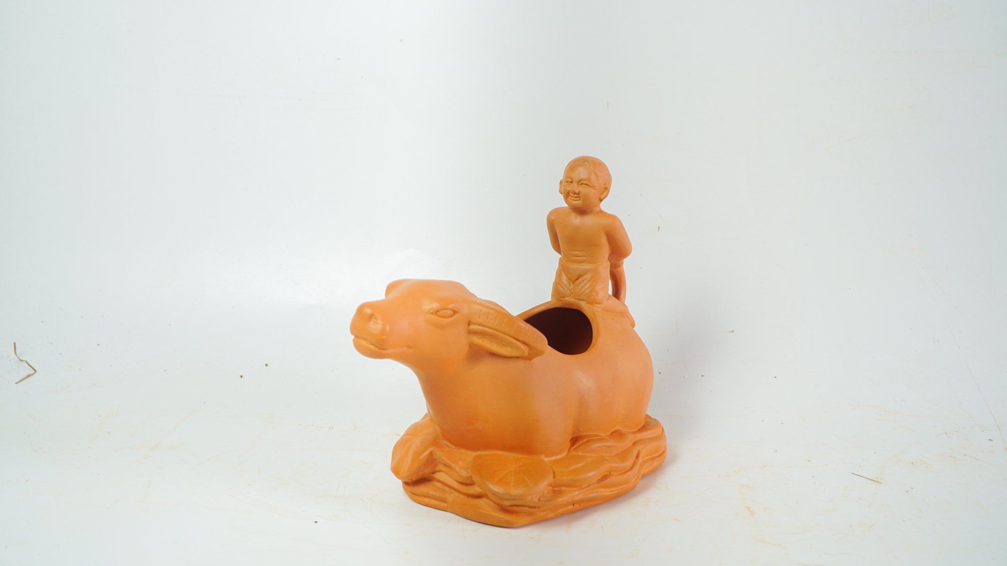 Chậu Trồng Cây Trâu Trâu Qua Sông - TC105