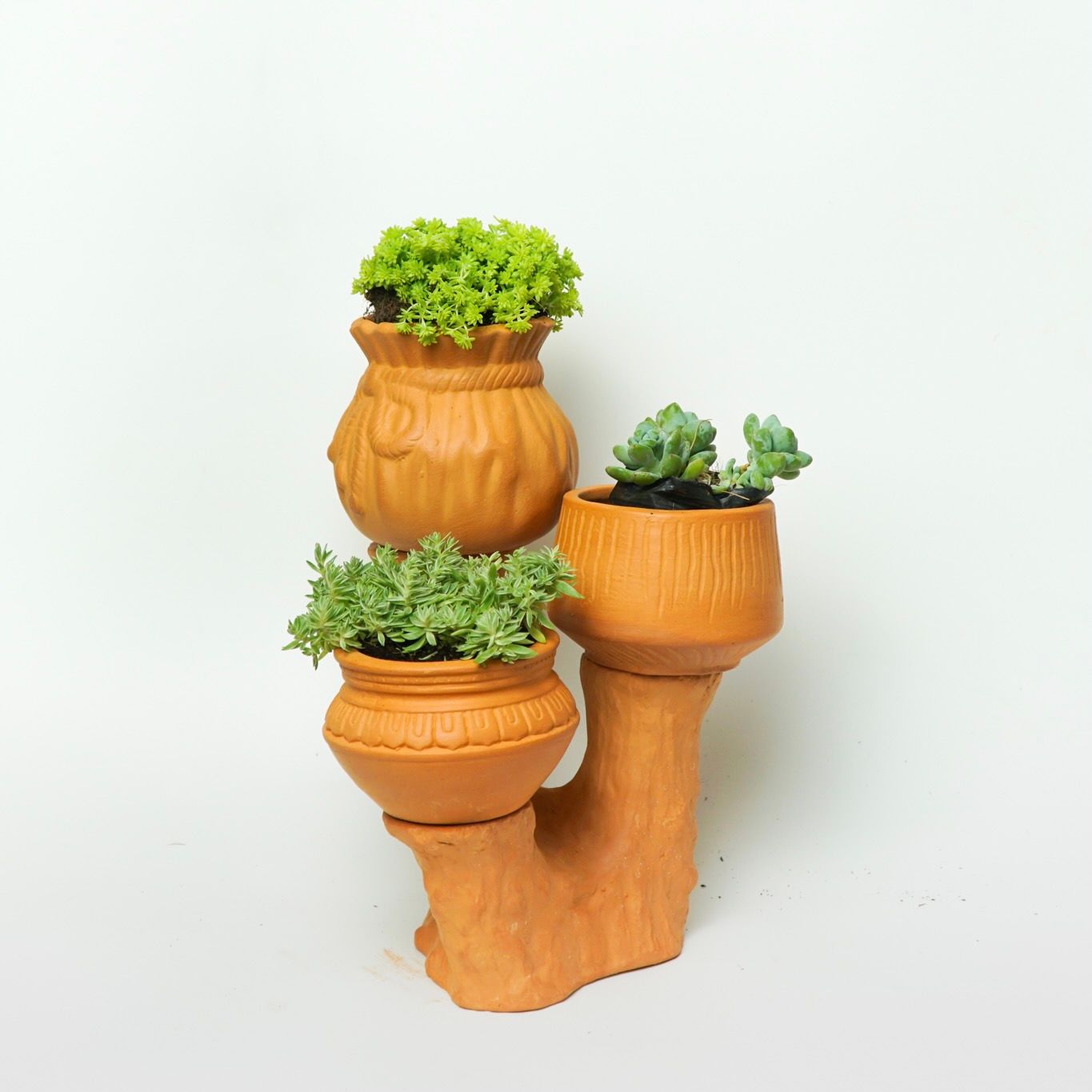 Đế Bỏ Chậu Trồng Cây - TC31