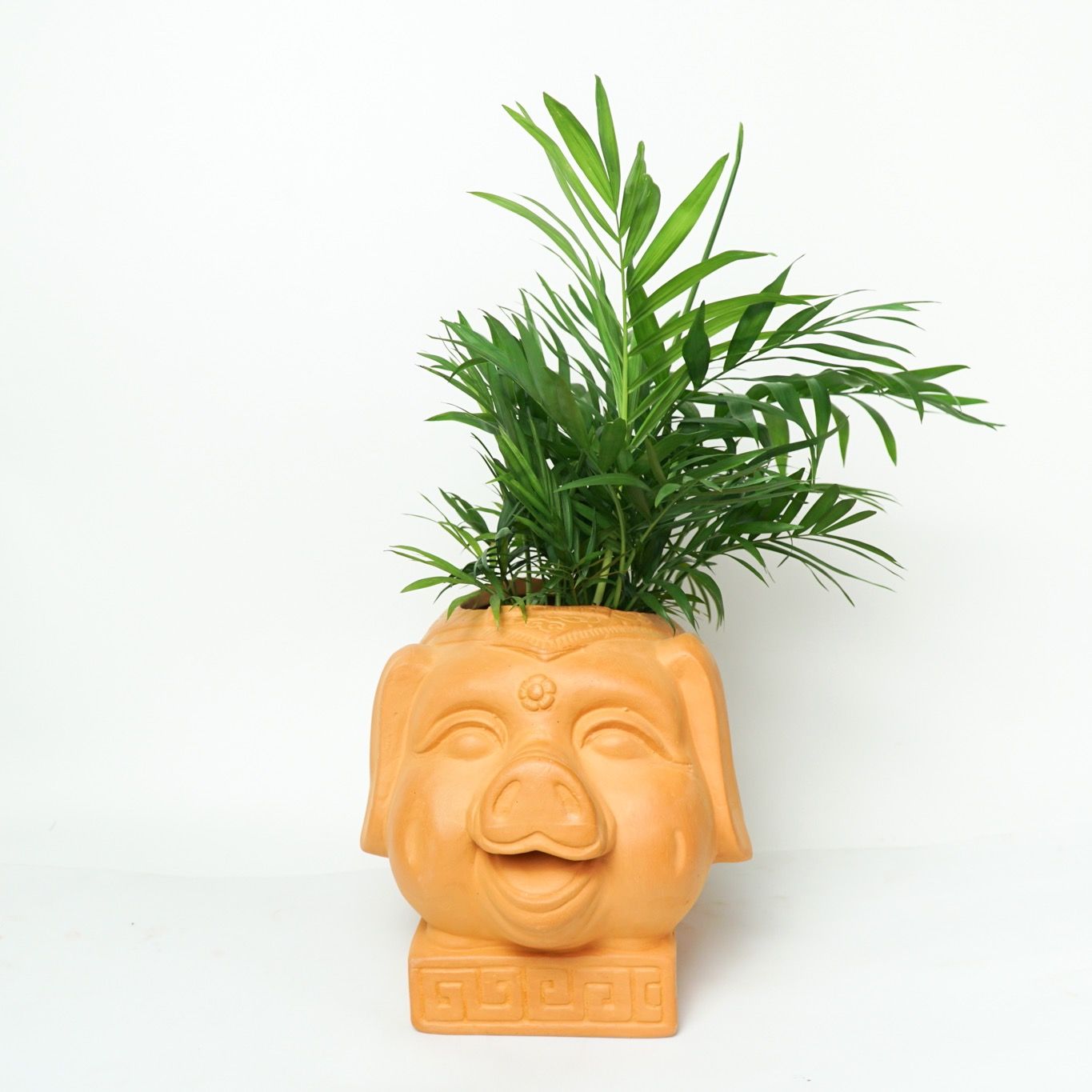 Chậu Trồng Cây - TC18