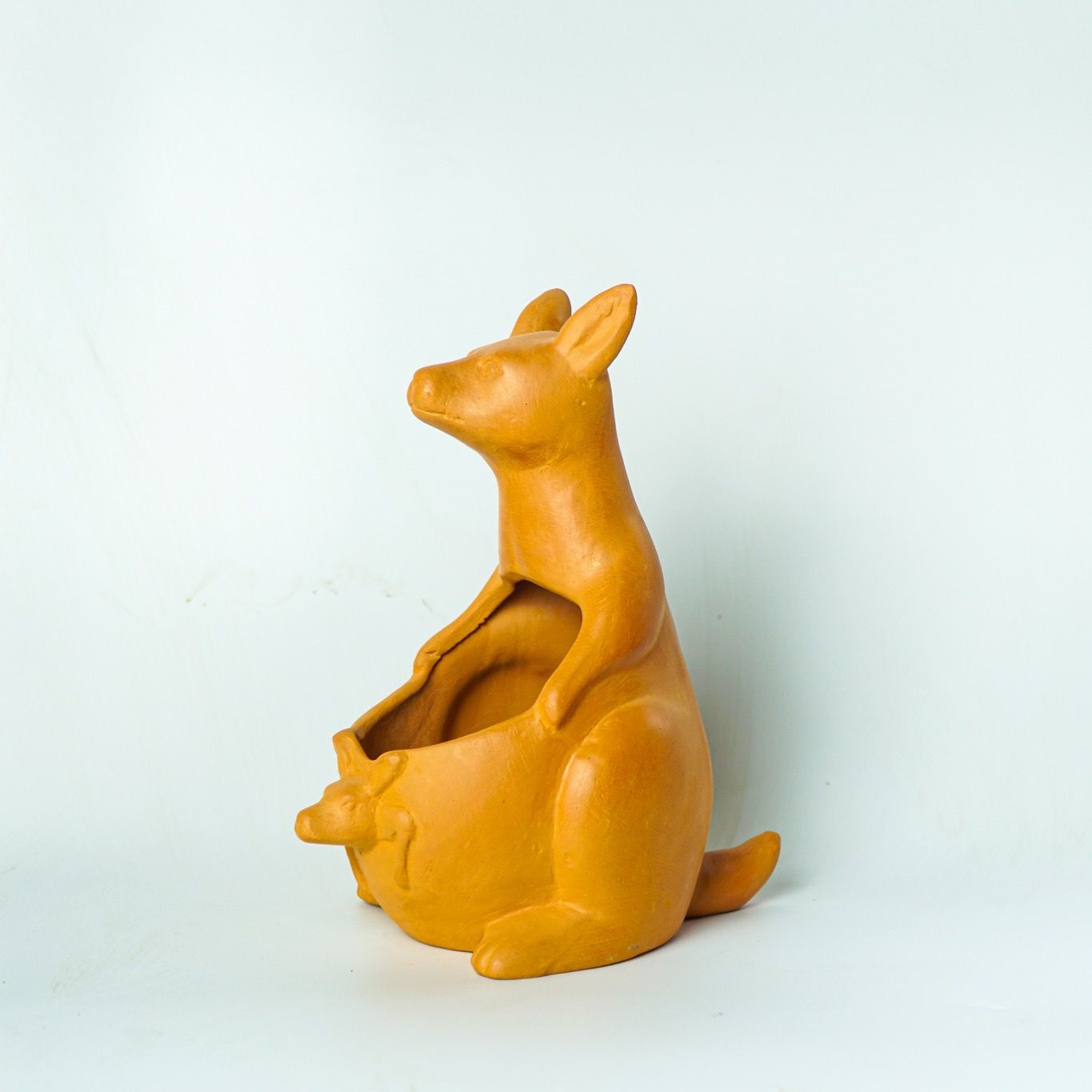 Chậu Trồng Cây Kangaro - TC53