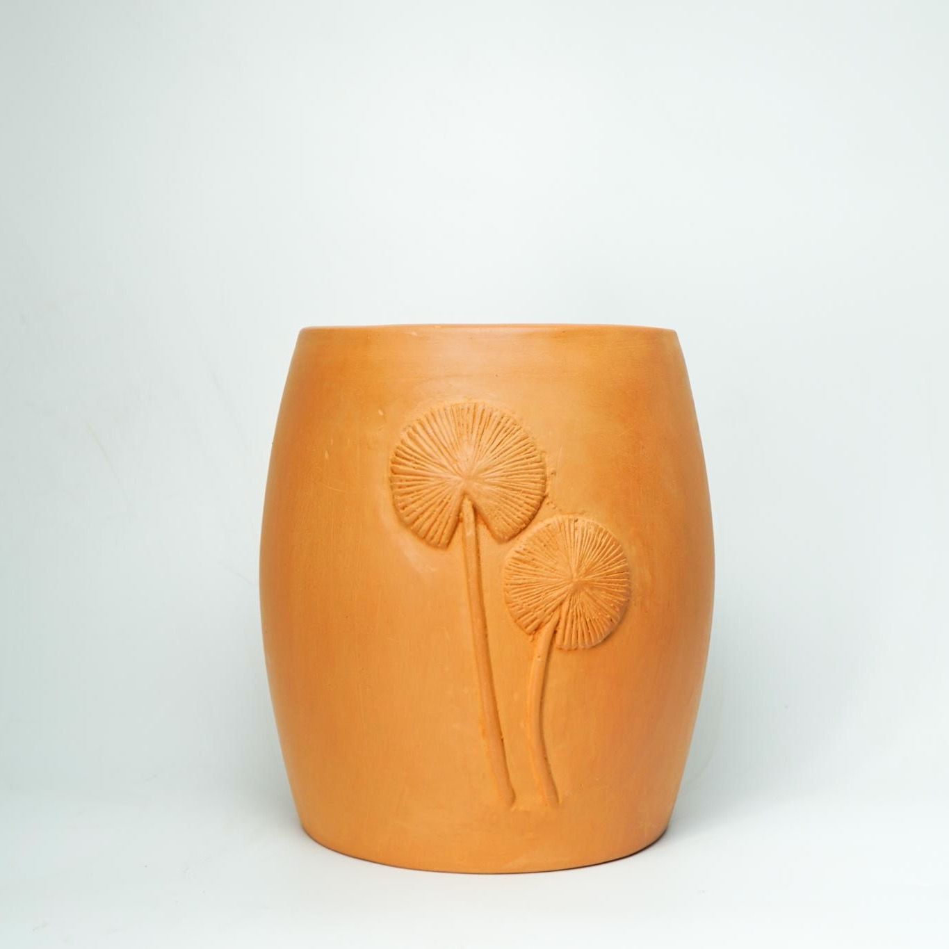 Chậu Trồng Cây - TC54