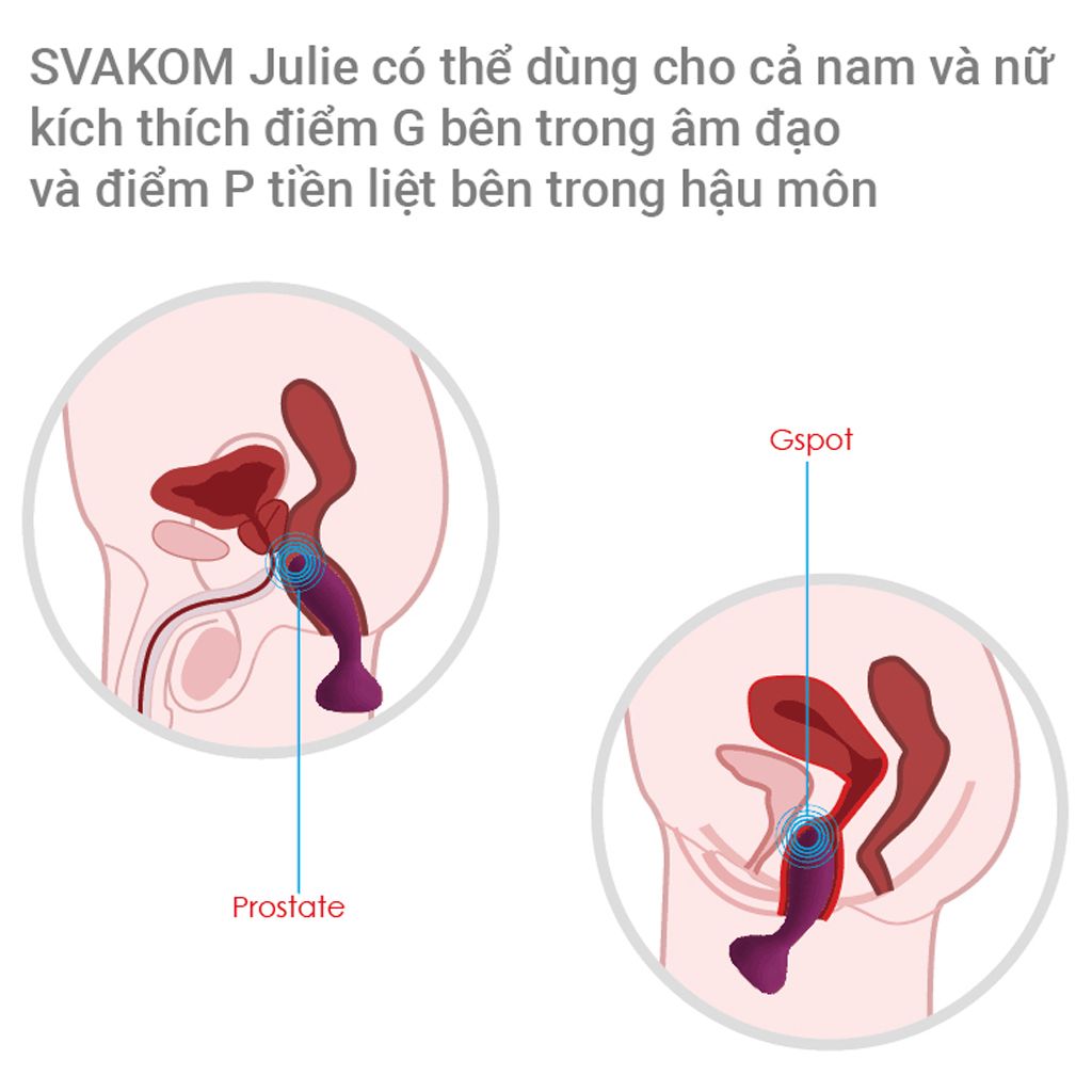  SVAKOM Julie dụng cụ tình dục cắm hậu môn cho nam nữ les gay 