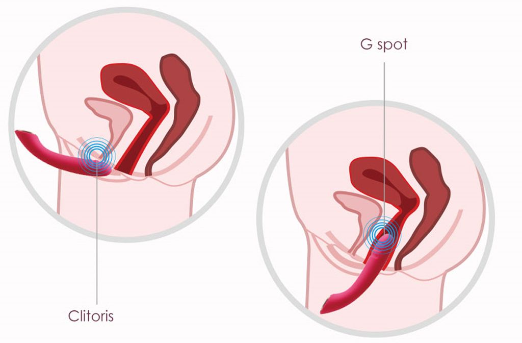 SVAKOM Becky dương vật giả rung 25 tần số kích thích