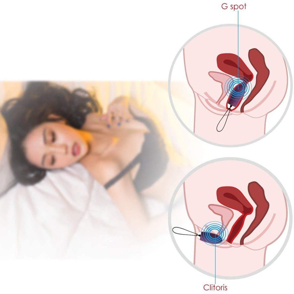 SVAKOM Elva trứng rung tình yêu điều khiển từ xa