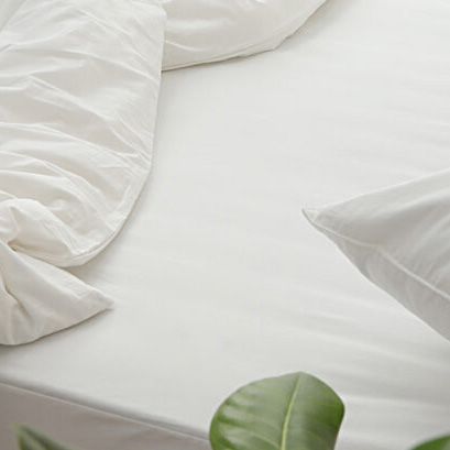 Ga Bọc Cao Cấp – Signature Natural Cotton Mattresscover Nhiều Màu Sắc - Kích Thước