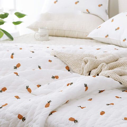 Chăn Cao Cấp Hàn Quốc – Soft Fruit Nhiều Họa Tiết