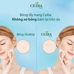 Bông Tẩy Trang Hữu Cơ Organic Ceiba Tree 80 miếng