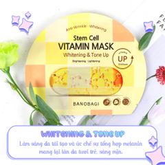 Mặt Nạ Giấy Banobagi Stem Cell Vitamin Mask 30g