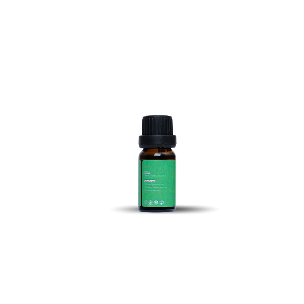  TD Cedarwood 10ml 