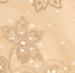 Áo nữ La Perla