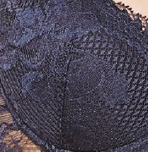 Áo ngực La Perla