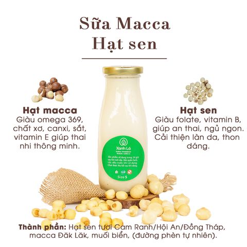 Sữa Macca hạt sen