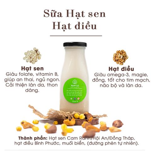 Sữa Hạt sen hạt điều