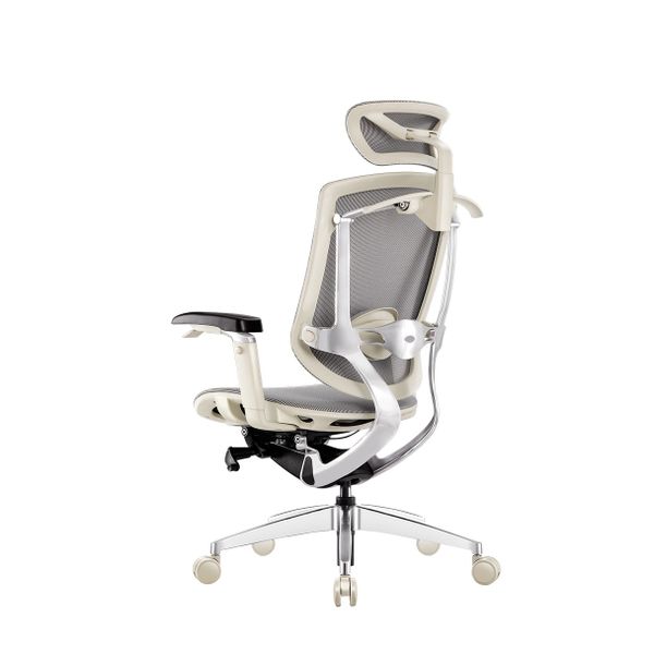 Ghế Ergonomic Công Thái Học Marrit Grey Bản 5D