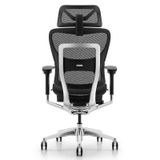 Ghế Công Thái Học Ergonomic Fly Pro