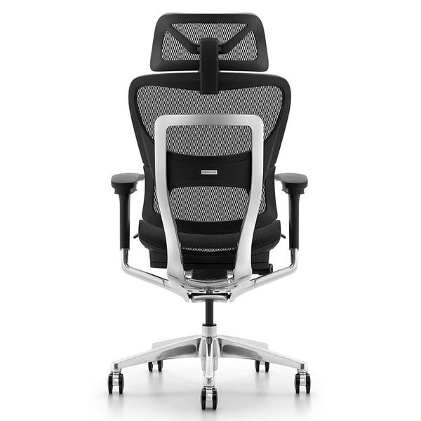 Ghế Công Thái Học Ergonomic Fly Pro