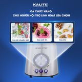 Máy xay sinh tố 2 cối Kalite KEB4171