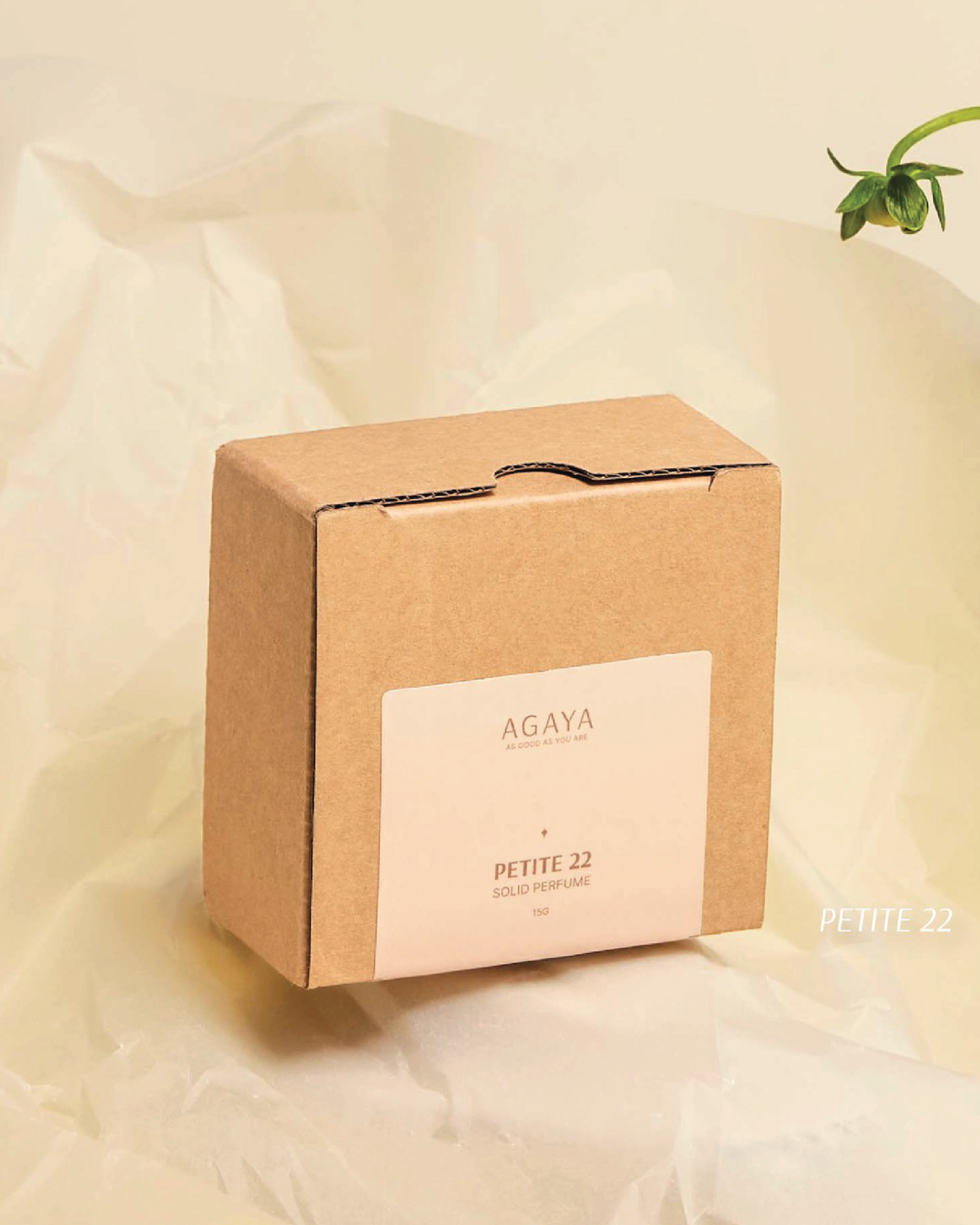 Petite 22 Dried Perfume